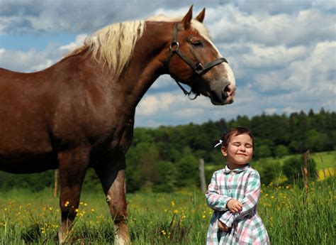 How Much Vegetable Oil Should I Feed My Horse? – HorseRoots