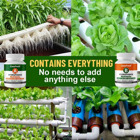Casa De Amor Hydroponic A&B Nutrients - For Leafy, Veggies, Tomatoes