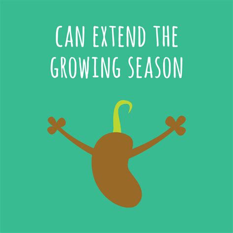 What is compost & What are the benefits of composting?