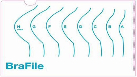 Cup Size Examples 的图像结果