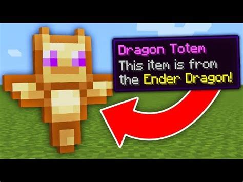 Image result for Custom Totems Tutorial
