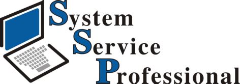 System Service Professional * Paul Struck * 54597 Wallersheim