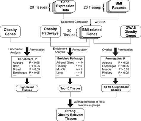 Image result for Work Study Programm Diagram