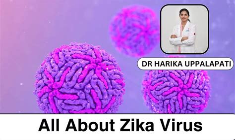 Zika Virus 101: Key Symptoms, How It Spreads, and How to Stay Protected ...