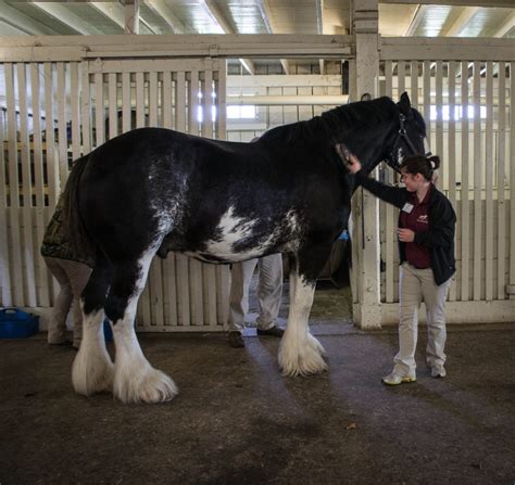 Image result for Beginner First Riding Lesson