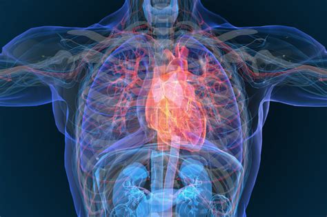 Image result for Using Gainswave Phoenix