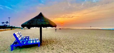 IFS Officer Shares Awe-Inspiring Images Of Odisha's Golden Beach