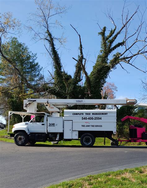 Image result for Tree Top Tree Service