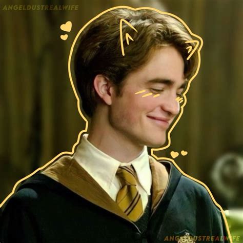 Cedric Diggory Harry potter y el calíz de fuego gato lindo amarillo ...