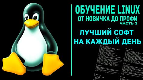 Обучение Linux. Лучшие программы для Linux на каждый день - YouTube