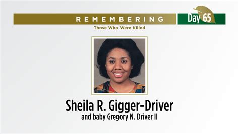 Dozens of dogs rescued from commercial breeder