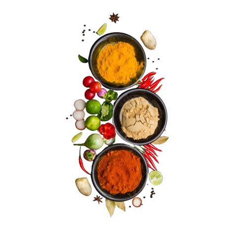 MVS Innovative Solutions – Innovating flavor solutions for culinary ...