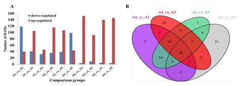 Integrated Metabolome and Transcriptome Analysis Reveals a Regulatory ...