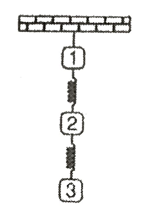 Three identical blocks are suspended on two identical springs one below ...