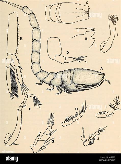 The *Annals of the South African Museum* publishes research on the natural history of South ...
