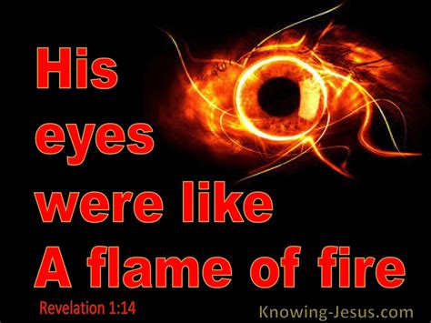 What Does Revelation 1:14 Mean?