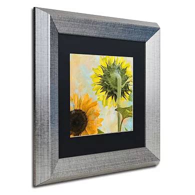Trademark Fine Art Soleil II Silver Finish Framed Wall Art