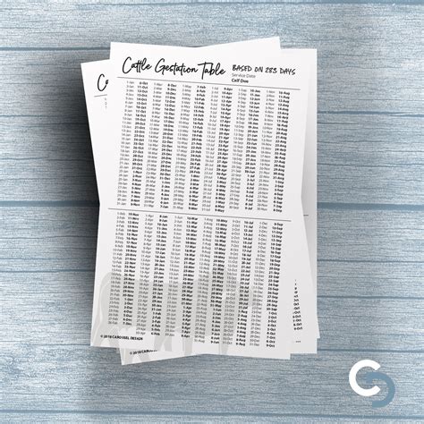 Printable Cattle Gestation Chart 2 Sizes - Etsy Singapore
