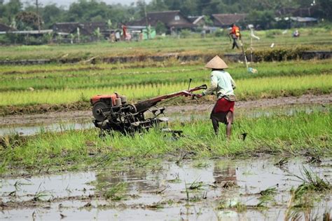 Image result for Log On Hand Tractor