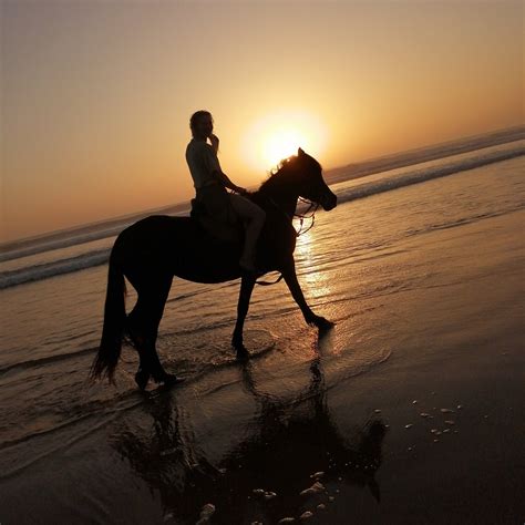 RANCH BERBERE NOMADE (2025) All You Need to Know BEFORE You Go (with ...