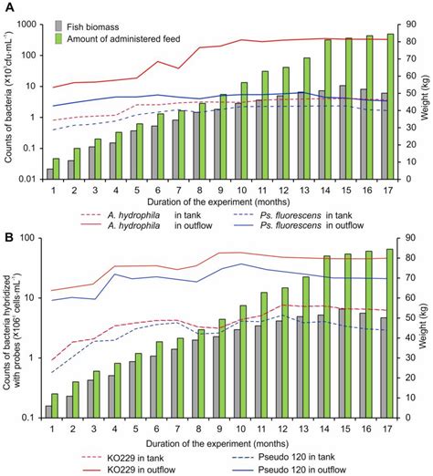 Distribution of Pseudomonas fluorescens and Aeromonas hydrophila ...