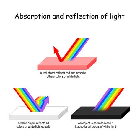 Image result for Light Refraction Colors
