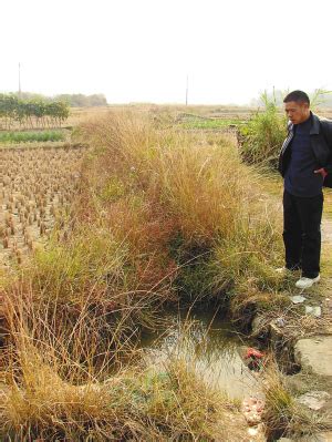 为灌区农田“解渴”，南江水库累计放水2800余万立方米_腾讯新闻