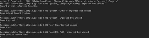 Image result for In Python How Do I Do a Flake8 Test
