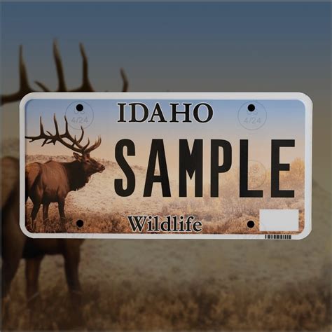 2024 Idaho Wildlife License Plate Redesign Contest winners announced