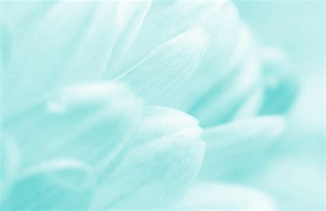 2023 LOVEWINX Catalog by LOVEWINX INC. - Issuu