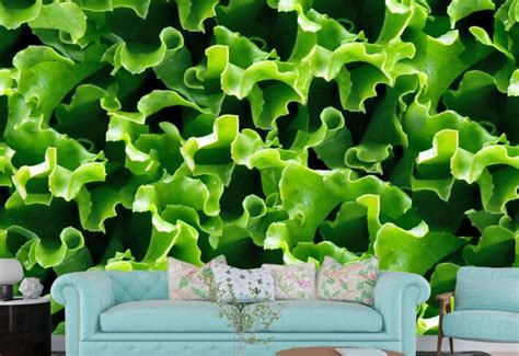 Vinyl Wallpaper for Kitchen – 3 Years Warranty