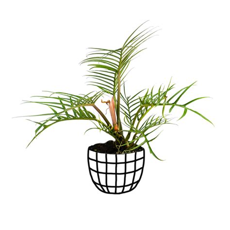 Skip to product information