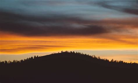 Image result for Data Structures Shy