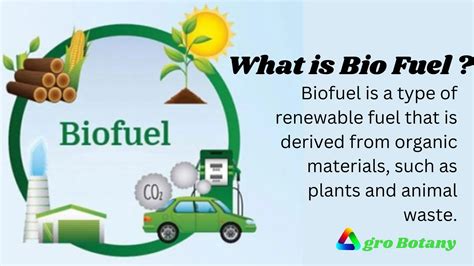 Biofuels PPT | PDF Download - Agrobotany