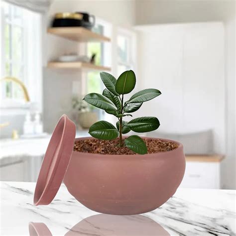 Lasaki Bowl Small Truffle with Plate Truffle R4 Ceramic Pots for Indoor ...