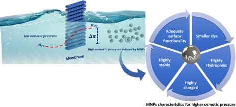 Water Diffusion 的图像结果