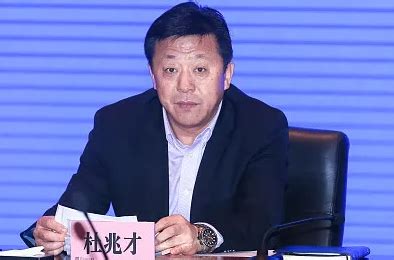 国家体育总局副局长、中国足协党委书记杜兆才被查__财经头条