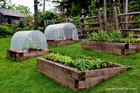 Learn how to grow vegetables all year long ... even in winter ...