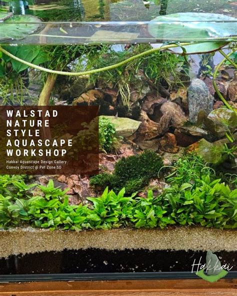 Walstad Nature Style Aquascape Workshop, 4160 Convoy St, San Diego, CA ...