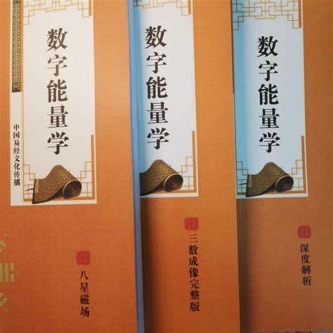 【READY STOCK】【现货促销】数字能量学 手机密码 生命密码 数字能量 数字磁场易经号码133页 | Lazada