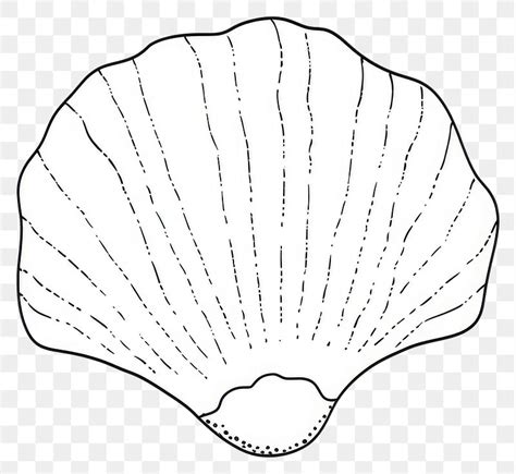 Image result for Shell Outline Printable
