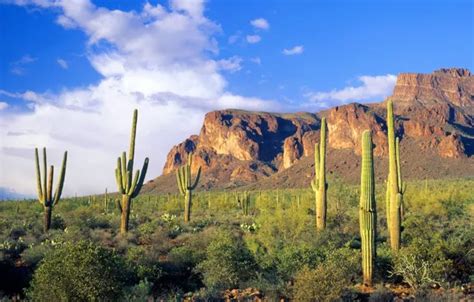 Wallpaper the sky, clouds, landscape, mountains, cactus for mobile and ...