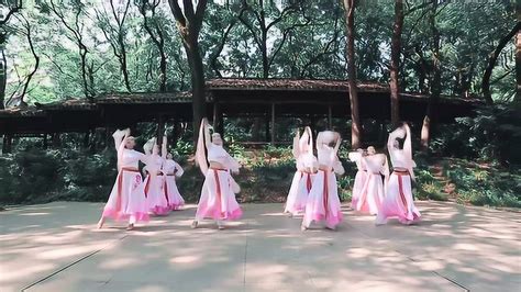 中国古典舞《出水莲》，出淤泥而不染，濯清涟而不妖_腾讯视频