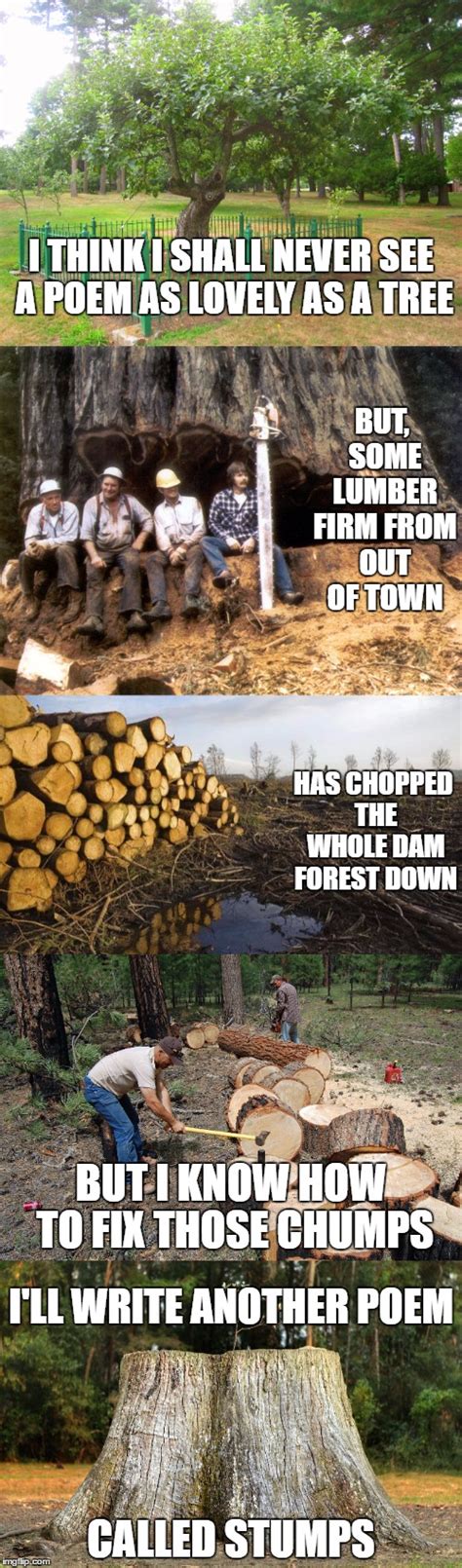 Image result for Monty Python Lumberjack Meme