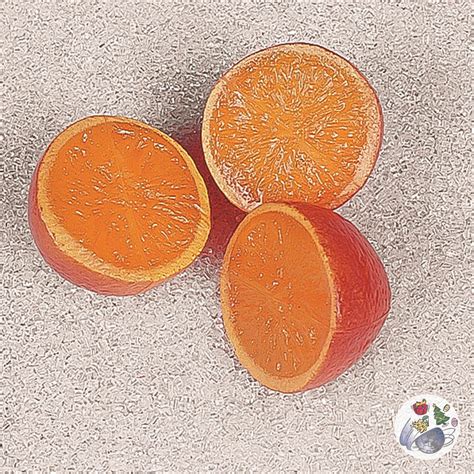Orangenhälften, 3 Stück - Lebensmittelattrappen von Global Trends