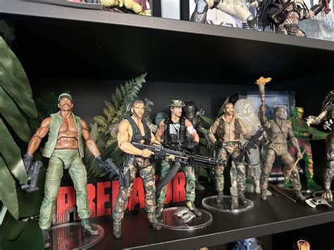 Image result for Predator Collection