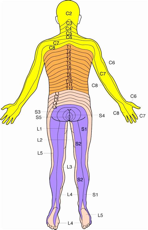 Image result for Testing Device Computer