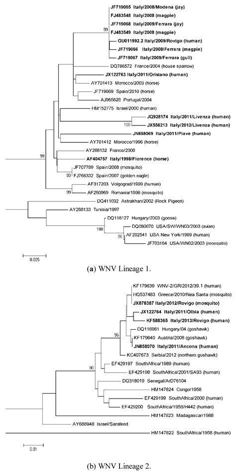 The Complex Epidemiological Scenario of West Nile Virus in Italy