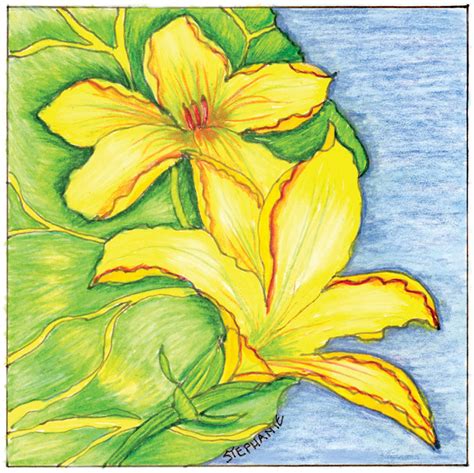 Georgia O Keeffe Flowers How To Draw - Home Alqu