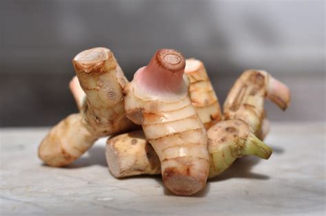 Galangal: Τα είδη της αλπινίας - BitterBooze